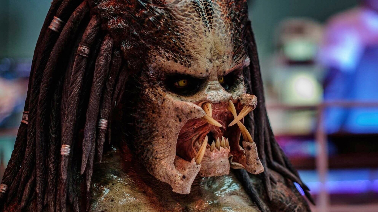 What's next for the Predator franchise after Prey?