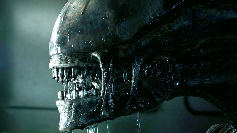 Xenomorph in close-up