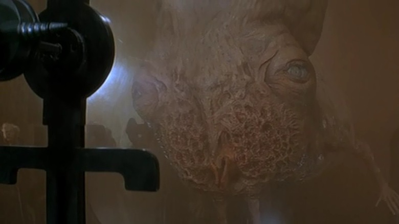 Heavily mutated Guild Navigator