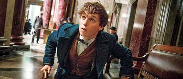 fantastic beasts and where to find them plott