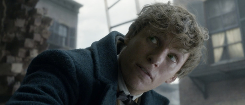 Fantastic Beasts Clips