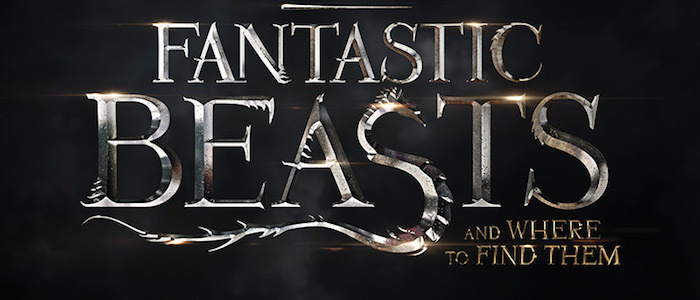 fantastic beasts first look