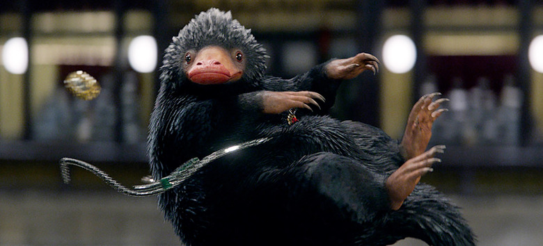 Fantastic Beasts and Where to Find Them - Niffler