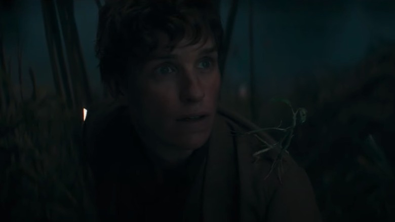 Newt and Pickett in Fantastic Beasts: The Secrets of Dumbledore