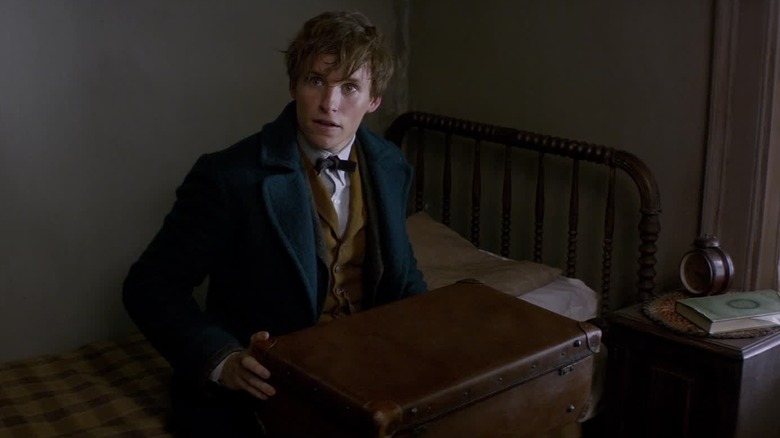 Fantastic Beasts suitcase 