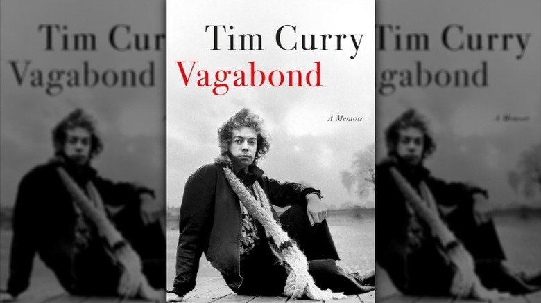 Book cover for Vagabond by Tim Curry