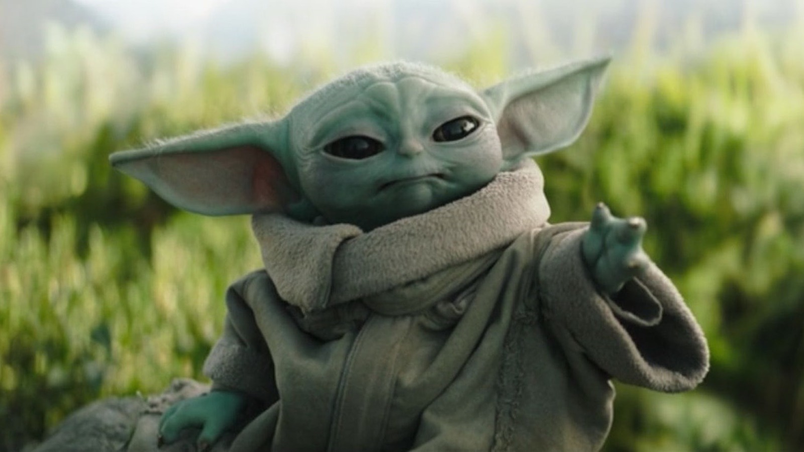 I Am Groot' Creators on MCU Connection, Baby Groot vs. Baby Yoda