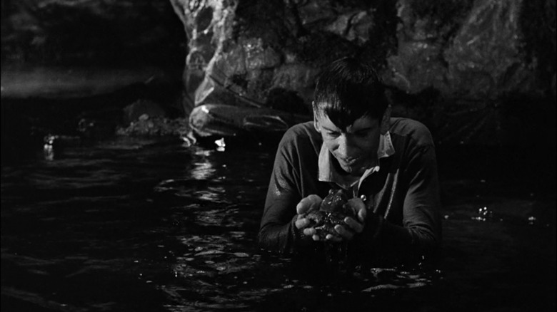 Bob Denver, Gilligan's Island