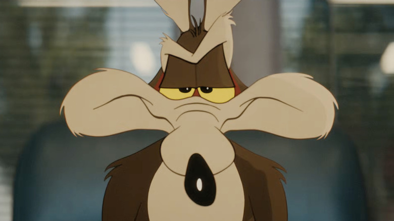 Wile E. Coyote looking bemused in Coyote vs. Acme