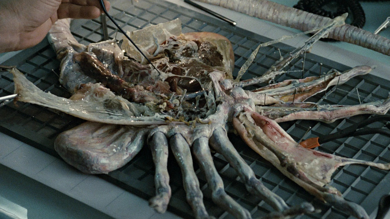 Alien Facehugger