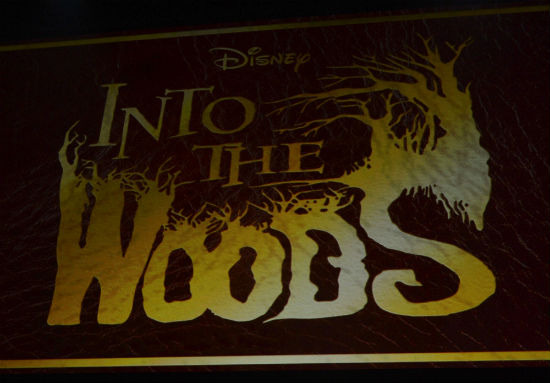 Into the Woods logo