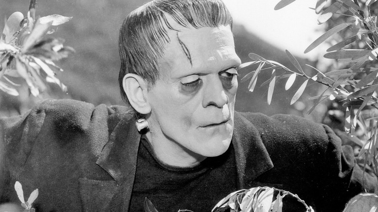 Frankenstein (1931) - Boris Karloff as Frankenstein's Monster pushing through bushes