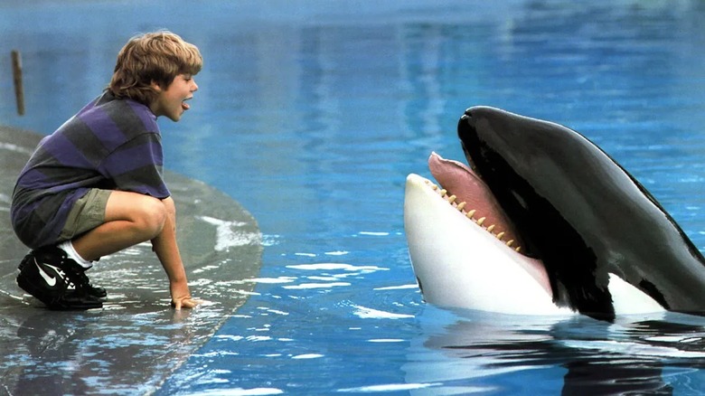 Free Willy Jason James Richter