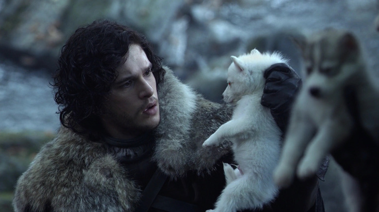 Game of Thrones, Jon holding baby Ghost