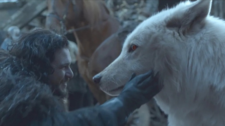 Game of Thrones, older Jon petting grownup Ghost