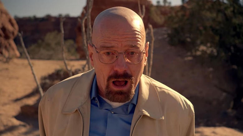 Walt yelling in Ozymandias in Breaking Bad