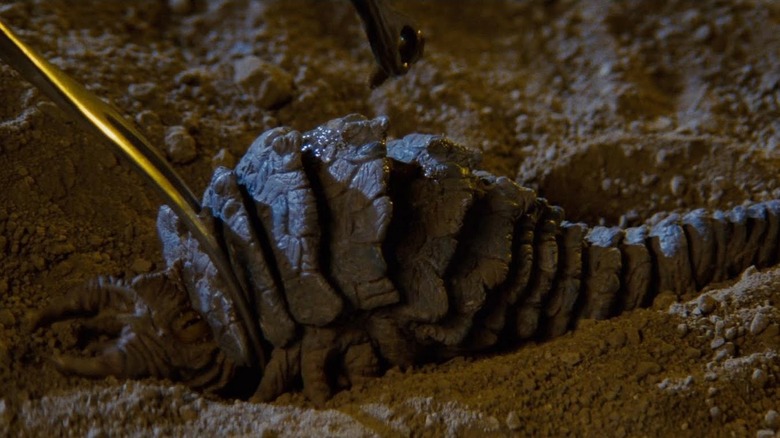Ceti eel