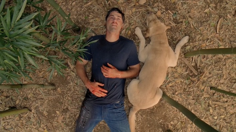 Matthew Fox as Jack Shephard draws his last breath next to a dog in Lost