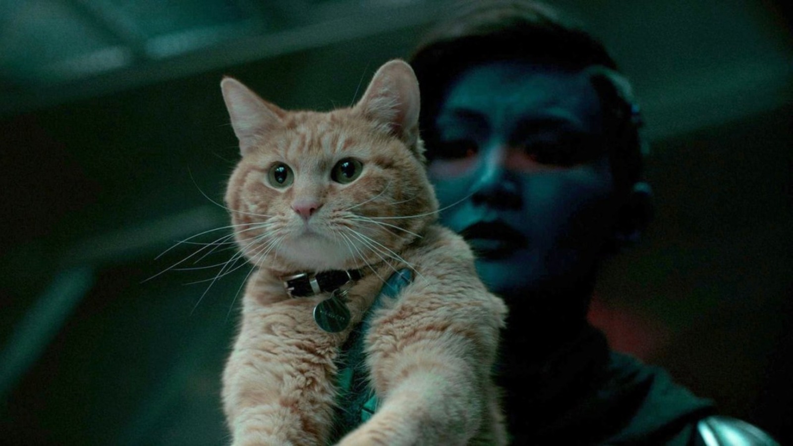 Goose Was Recast With Two New Cat Actors For The Marvels
