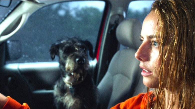 Kaya Scodelario in Crawl