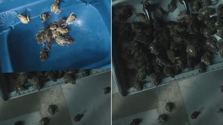 Frogs crawling out of the sink drain in Penny Dreadful