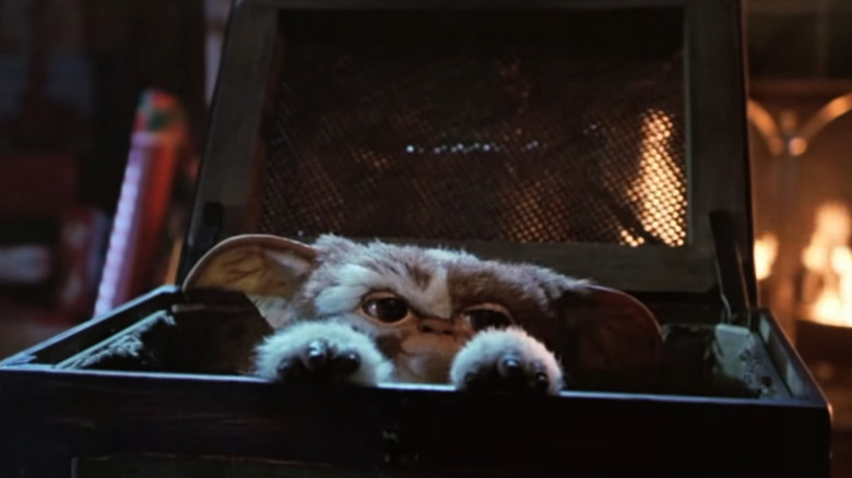Gizmo in Gremlins