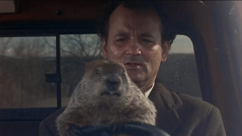 Groundhog Day Bill Murray