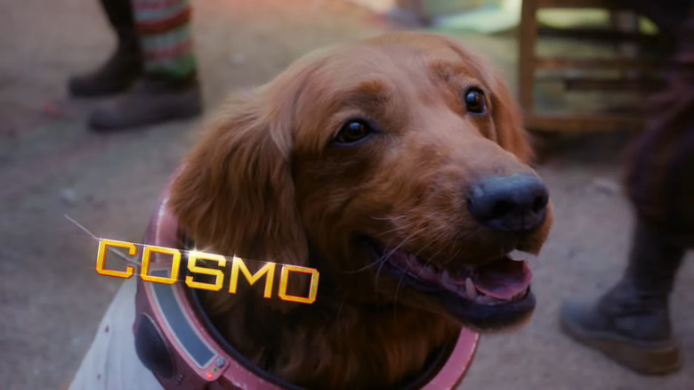 Cosmo the Spacedog from The Guardians of the Galaxy Holiday Special
