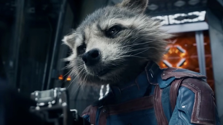 Guardians Galaxy Vol. 3 Rocket Raccoon Bradley Cooper