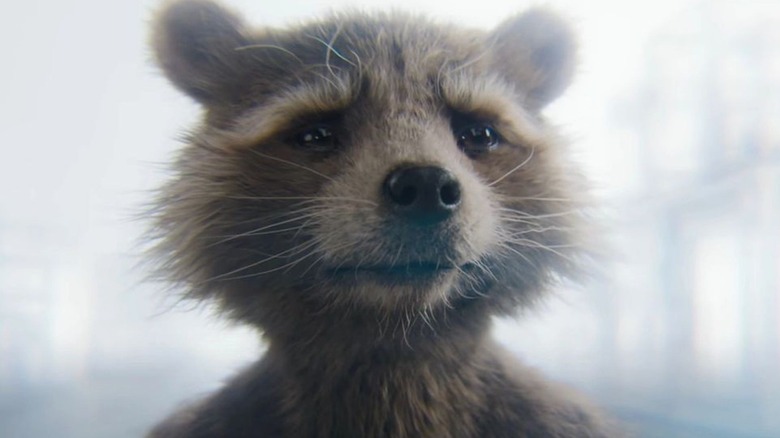 Rocket Raccoon in Guardians of the Galaxy Vol 3