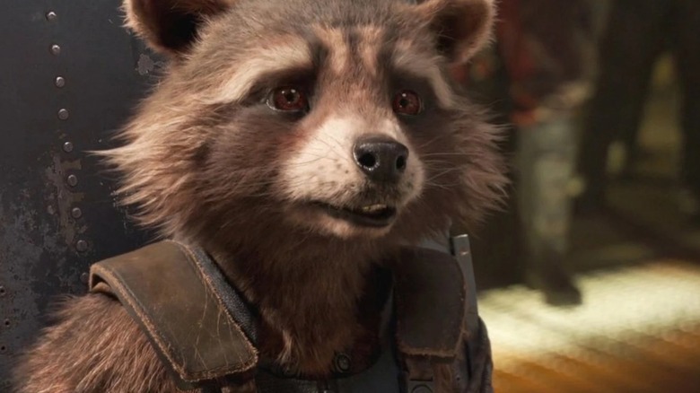 Rocket looking worried