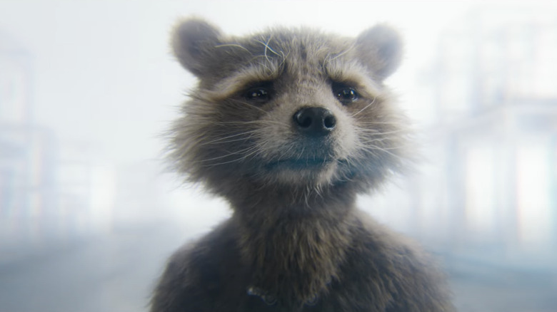 Rocket Raccoon in Guardians of the Galaxy Vol. 3.