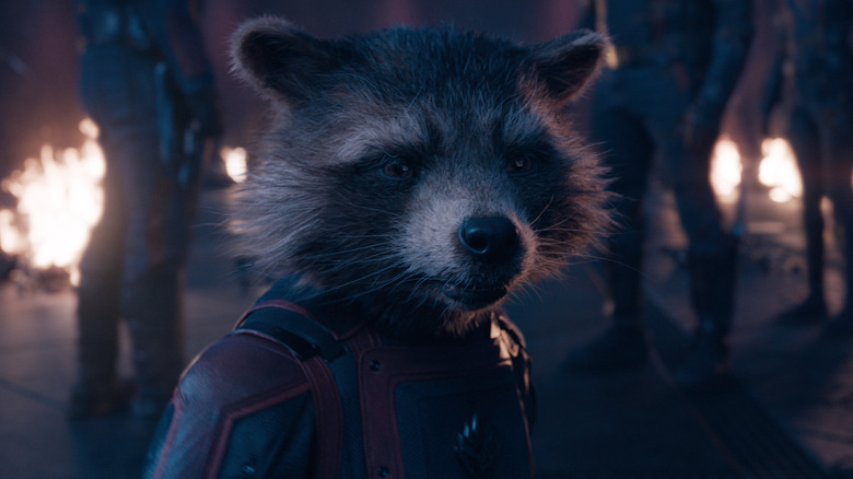 Guardians of the Galaxy Vol. 3 Rocket Raccoon