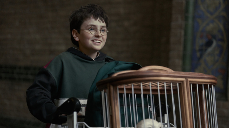 Dominic McLaughlin as Harry Potter pushing Hedwig along in her cage in the Harry Potter TV show