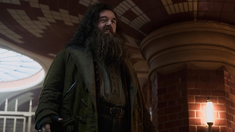 Nick Frost as Rubeus Hagrid standing upright in the Harry Potter TV show