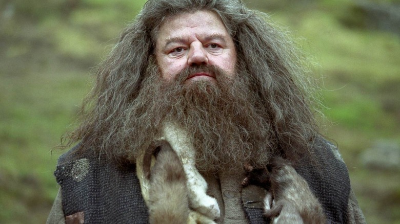 Robbie Coltrane as Hagrid in Harry Potter