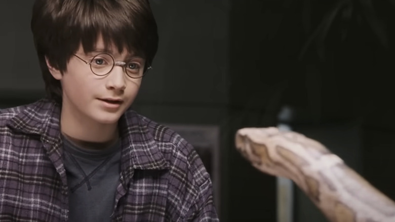 Daniel Radcliffe as Harry Potter looking at a snake in Harry Potter and the Sorcerer's Stone