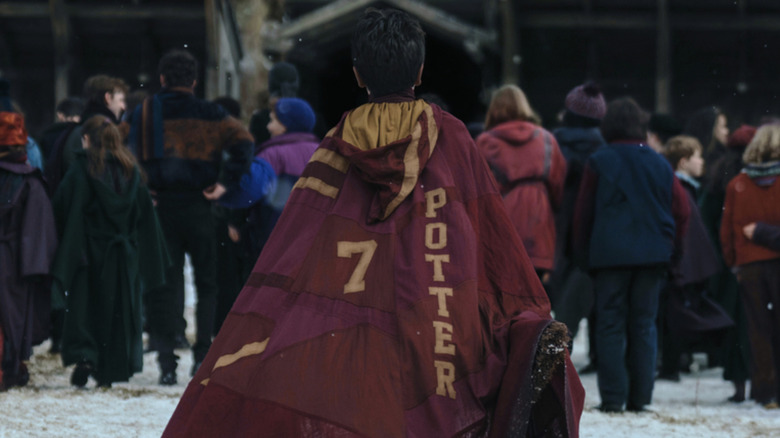 Harry in his Quidditch cloak in the Harry Potter TV series