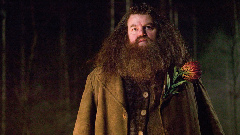 Harry Potter Robbie Coltrane