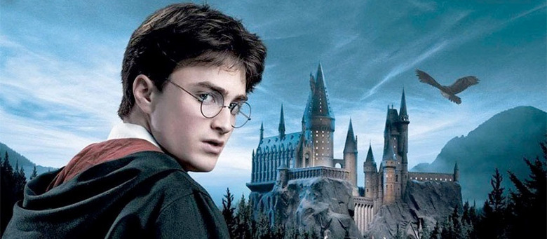 Harry Potter RPG Video Game