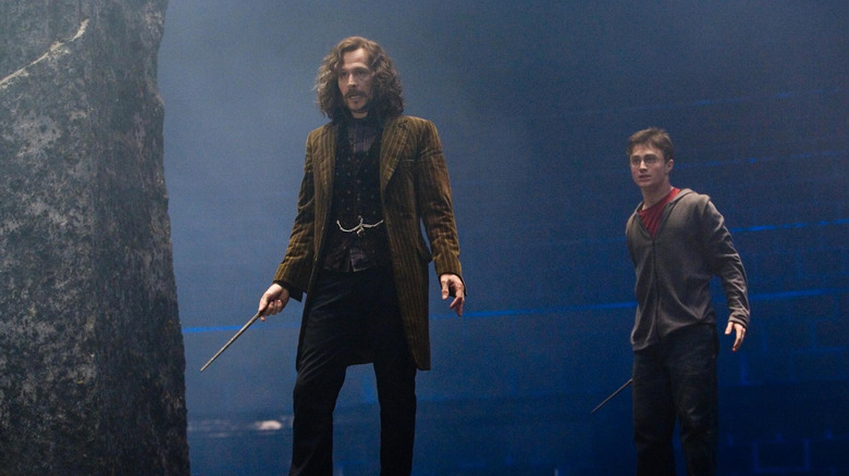 Sirius and Harry at the Ministry of Magic fighting in Harry Potter and the Order of the Phoenix