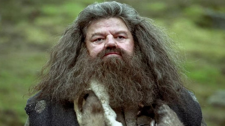Robbie Coltrane as Hagrid in Harry Potter and the Order of the Phoenix, looking slightly disheveled and looking off at something.