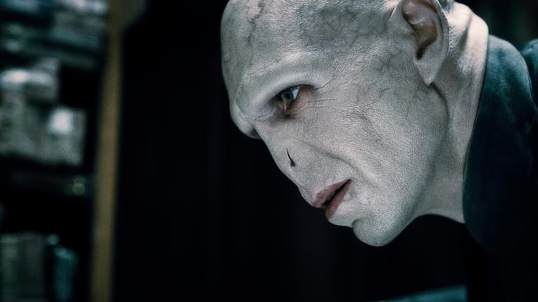 Voldemort in profile looking at someone in Harry Potter