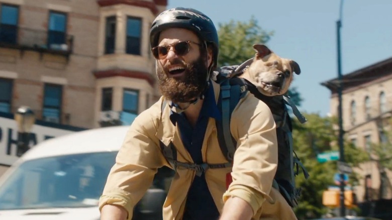 Men's bicycles with a lost dog in high maintenance (2020)