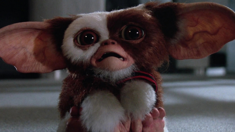 Gizmo in Gremlins