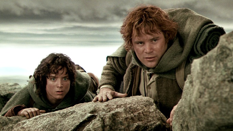 Lord of the Rings Frodo and Sam 
