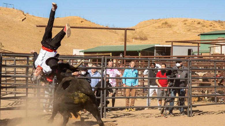 Johnny Knoxville Gets Bulldozed by a Bull in "Jackass Forever"