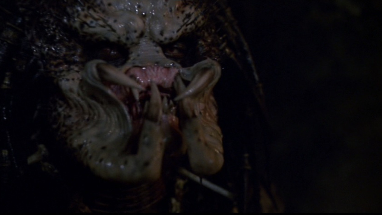 Aliens VS. Predator: Requiem (AVP 2) - Movies on Google Play