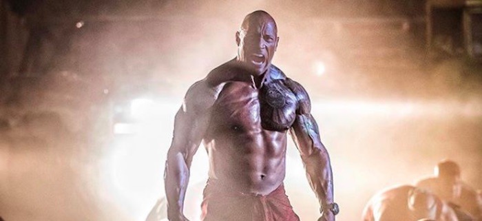 hobbs and shaw image