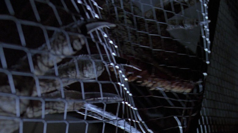 raptor attack